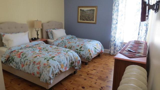 The Jellybean Heritage Inn St. John's Buitenkant foto
